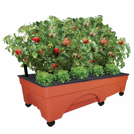 CITY PICKERS Big Raised Bed Grow Box, Self Watering and Aeration, Mobile Unit W/ Casters, XL 48inx20in Design 3340